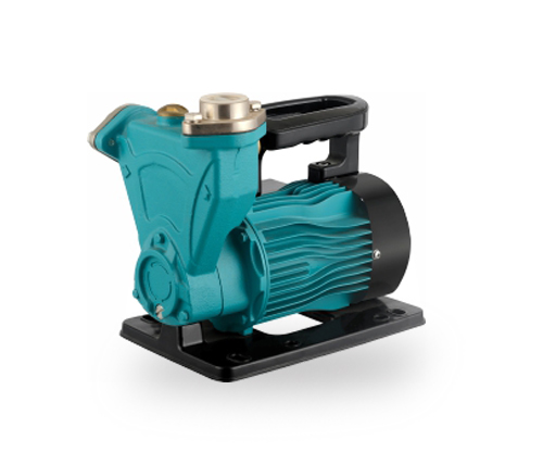 ETPS Series Durable Self-suction Pump for Living Water with Base